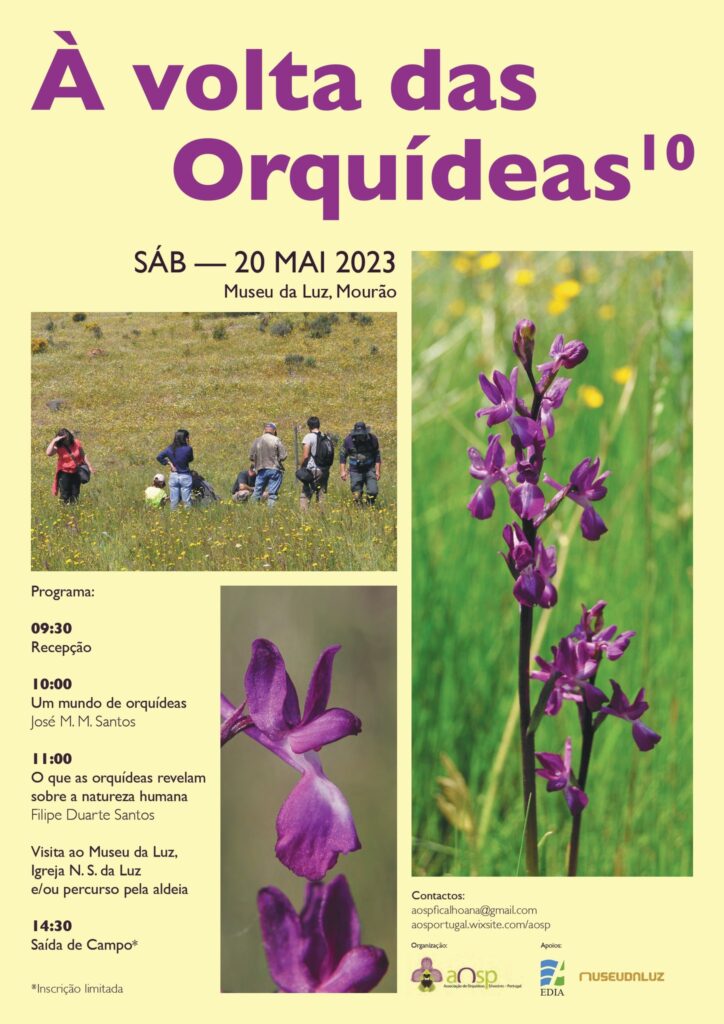 À volta das orquídeas – 20 Maio 2023
