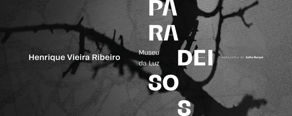 Paradeisos – Henrique Vieira Ribeiro – from March 19th to June 16th 2024