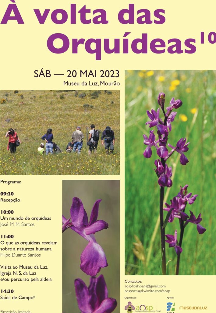 Around the orchids – May 20th 2023
