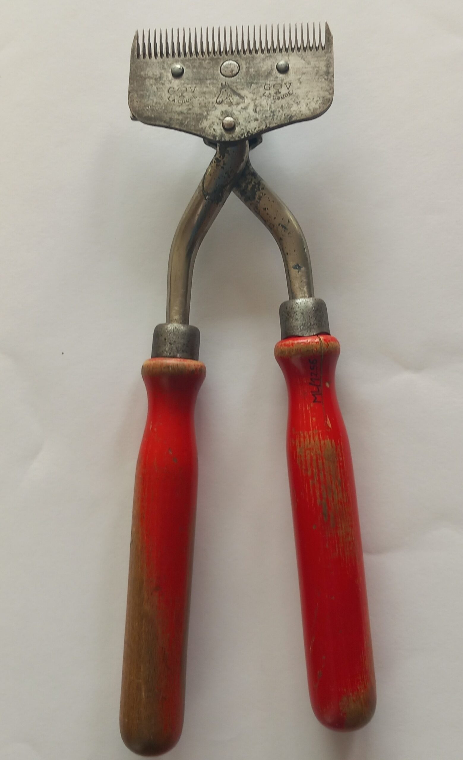 Pair of scissors – Object of the month for March 2026